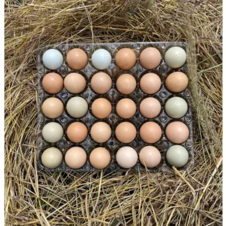 Huevos Criollos